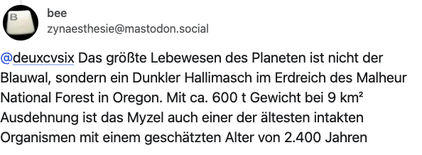 Bildschirmfoto 2025-11-24 um 11.58.20.