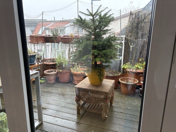 C3F3B35A 8F57 4432 A04D 0090BC54943A.