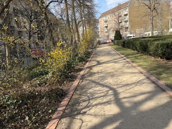 07B7C529 54FE 49D4 946A 6E82C1DF0C45_1_105_c.