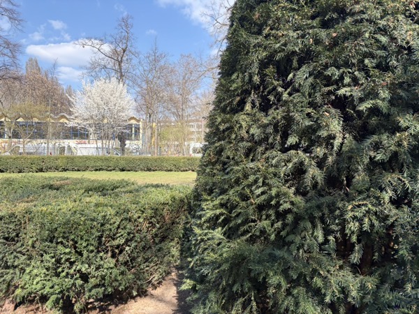 4D9FDB42 8E7D 43E4 BEF7 7129DF1A2FCE_1_105_c.