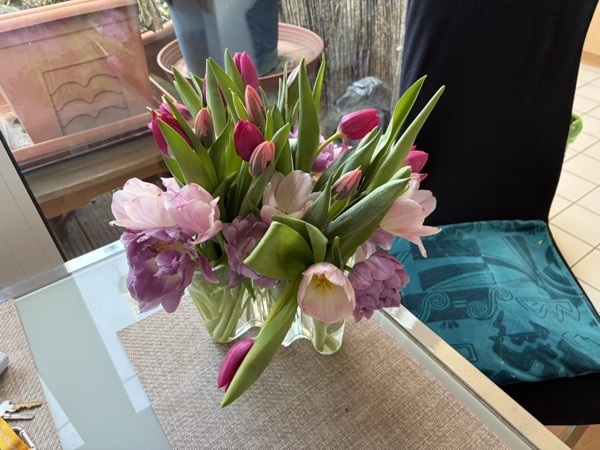 5F454AFB 1615 45FE 8DE2 09E3C9EF4910_1_105_c.