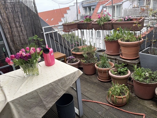 096F58AB EECF 4389 A50A A4BB61E630EB_1_105_c.