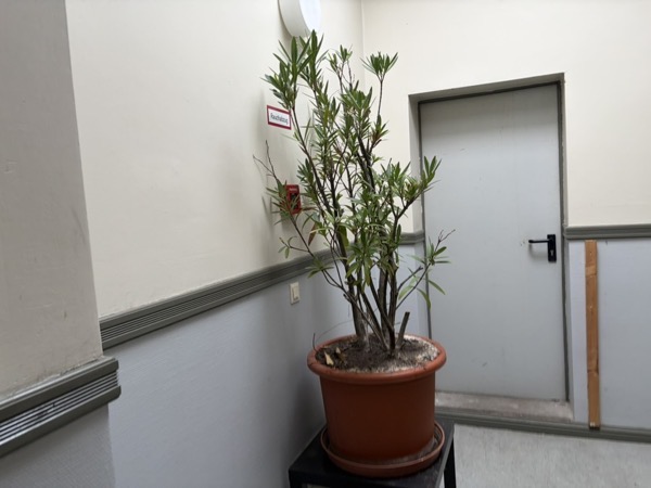 6A21AE82 16FD 4B37 A56C 7B334A80560E_1_105_c.