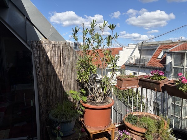 F215A319 1881 4E57 955B 65F535EA8350.