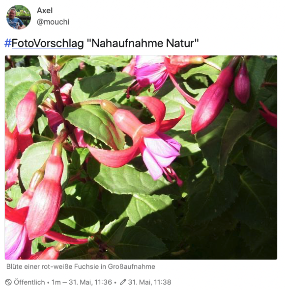 UntitledImage.png