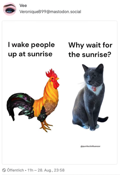 UntitledImage.png