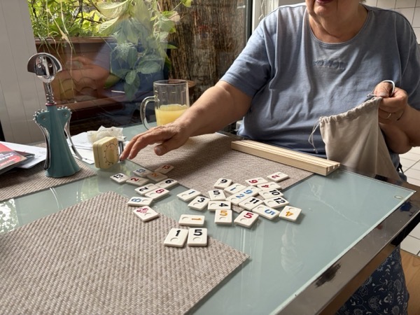 A2104A56-141C-46B7-9033-38FDF55A90EF.jpeg Hanna sammelt die Steine des neu erworbenen Spiels Rummikub ein